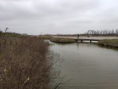 -春花秋色城市公园