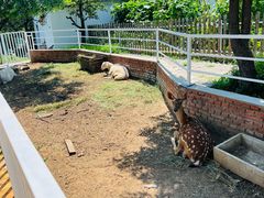 -丽泽山庄·生态怀柔菜·虹鳟鱼(红螺寺店)