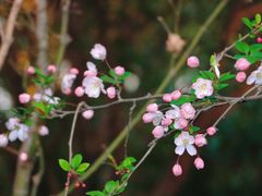 -白塘生态植物园