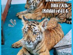 -济南野生动物世界