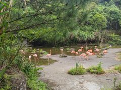 -千岛湖东南湖区