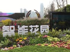 -重庆市江北嘴中央商务区中央公园