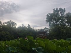 -房湖公园