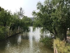 -南汇桃花村