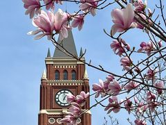 -梨花自助烤肉(乐宾店)