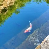京郊避暑胜地