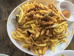 -崂山水果园农家宴(泉水鸡店)