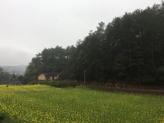 -韶山毛泽东同志故居