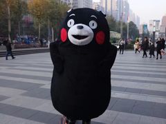 -猫的天空之城概念书店(印象城购物中心店)