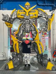 -爱丽丝奇幻乐园