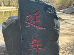 -黑龙江省森林植物园