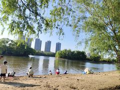 -长白岛森林公园