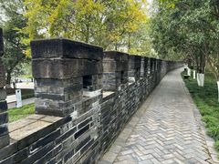 -桂湖森林公园