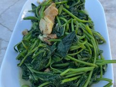 -鲤鱼塘农家山庄