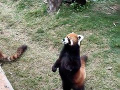 -泉州海丝野生动物世界