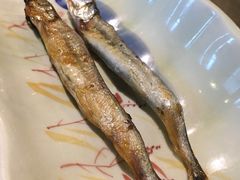 -曙亚洲餐厅-重庆富力艾美酒店(南坪万达广场店)