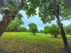 -同济大学(嘉定校区)