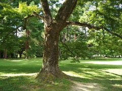 -京都御所