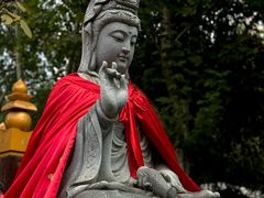 -西安大兴善寺