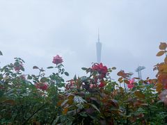 -海心沙亚运公园