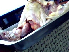 图片&nbsp;010-天鹅铁锅㸆大鹅