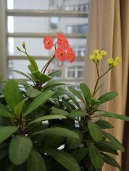 -酉嘉瑜伽YO+YOGA