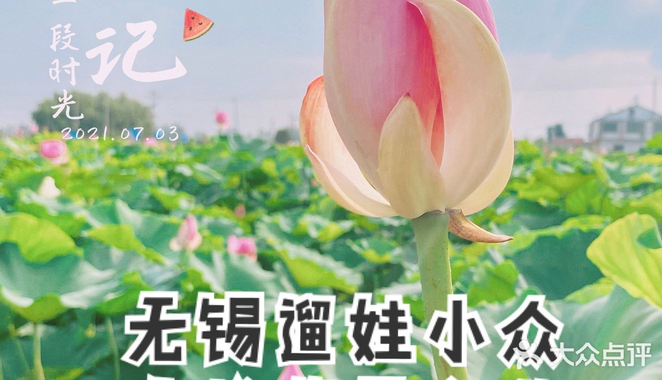 无锡周边游推荐小众地之马家荡