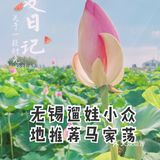 无锡周边游推荐小众地之马家荡