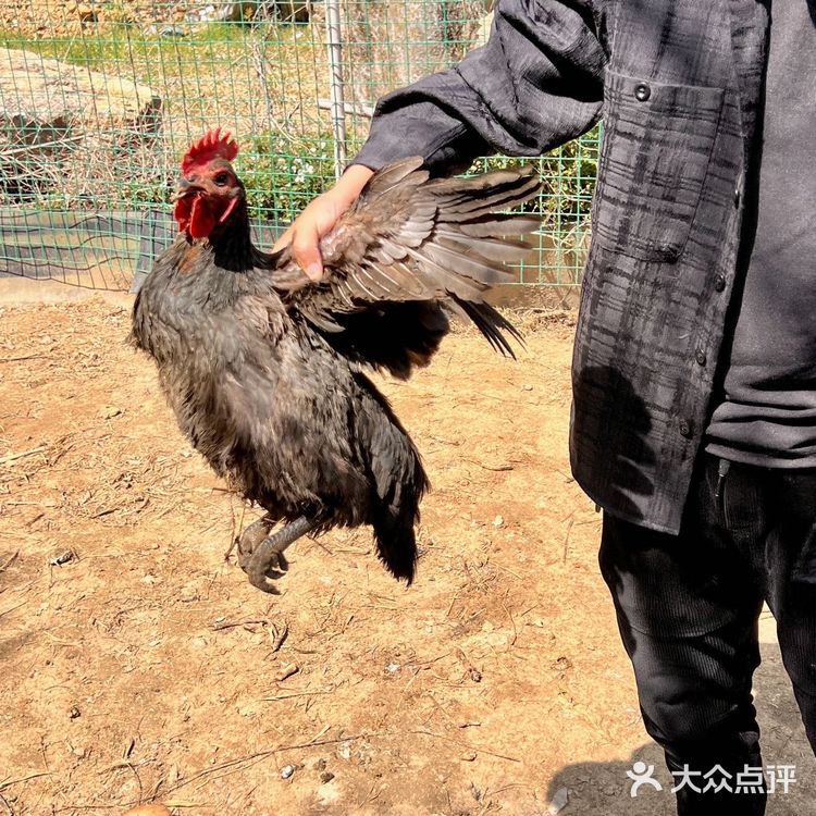 感谢！吃到了藏到OMG心跳乐园附近桐庐农家菜