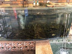 -荣德灶台鱼(圣泉寺店)