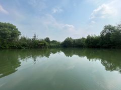 -西溪国家湿地公园