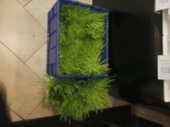 android_upload_pic-老东营·东营菜(西四路店)