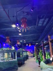 -酷嗒动物文化乐园(cutezoo西溪乐天城店)