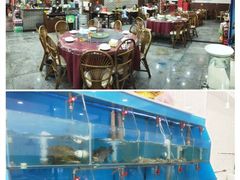 水产区-红灯笼龙凤饭店(宁波老字号店)