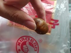 -小宝栗子(嘉华国际商业中心店)