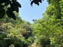 -杭州半山国家森林公园