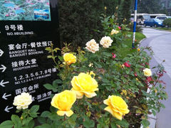 android_upload_pic-晋祠宾馆