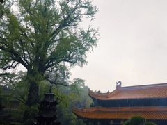 -普陀山风景名胜区-法雨禅寺