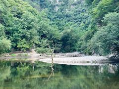 -少华山国家森林公园