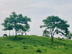 -良渚古城遗址公园