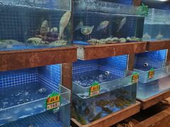 -江海渔港(姚港路店)