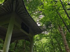 -老君洞旅游度假区