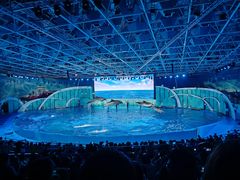 -海合安青岛极地海洋公园
