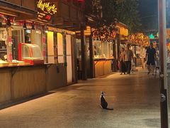 -敦煌夜市