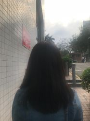 -TSO 慕尚·微潮派