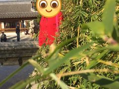 -南普公园