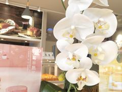 -好利来(道前街店)