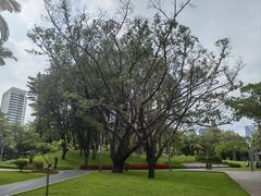 -四海公园(南山区)