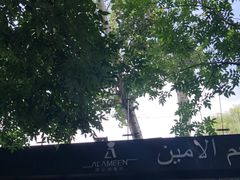 -ALAMEEN阿拉伯餐厅(三里屯店)