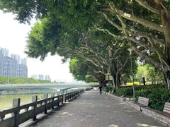 -光明港公园